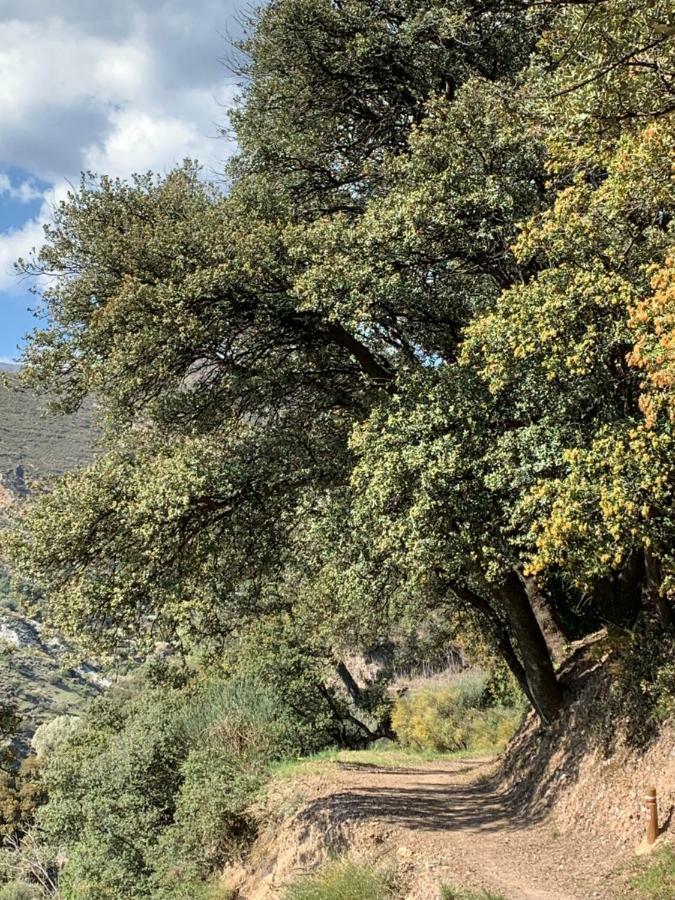 Appartamento El Huerto De Lobras Esterno foto